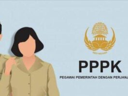 Penjelasan Profesi PPPK: Mulai dari Tugas, Gaji, hingga Syarat