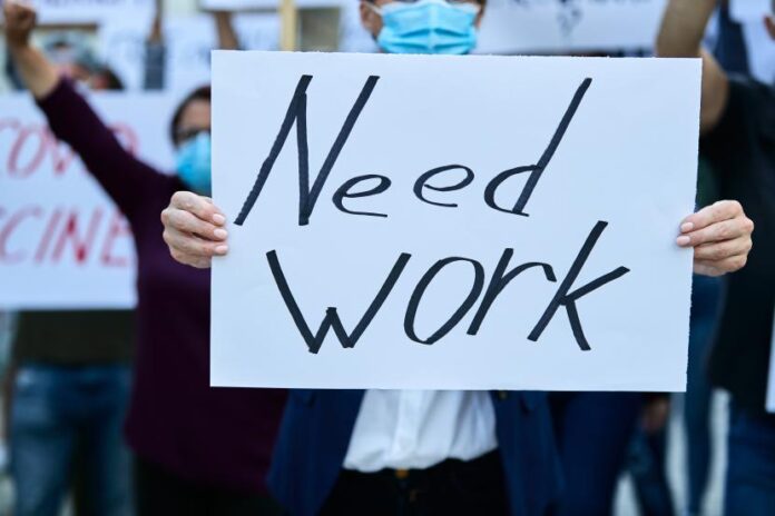 Overqualified Tapi Nganggur? Fenomena Baru di Pasar Kerja 2025