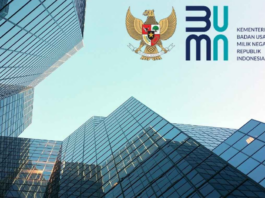 Karier di BUMN: Stabilitas, Tantangan, dan Peluang untuk Generasi Muda