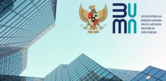 Karier di BUMN: Stabilitas, Tantangan, dan Peluang untuk Generasi Muda