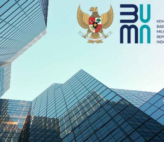 Karier di BUMN: Stabilitas, Tantangan, dan Peluang untuk Generasi Muda