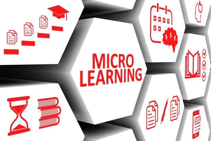 Micro-Learning for Macro Success: Cara Belajar Ringkas yang Menghasilkan Lonjakan Karier