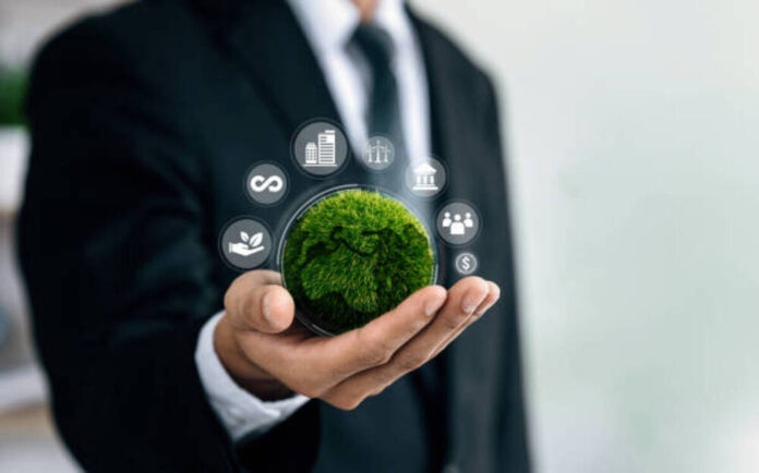 Green Jobs dan Karier Ramah Lingkungan yang Mulai Diburu Perusahaan